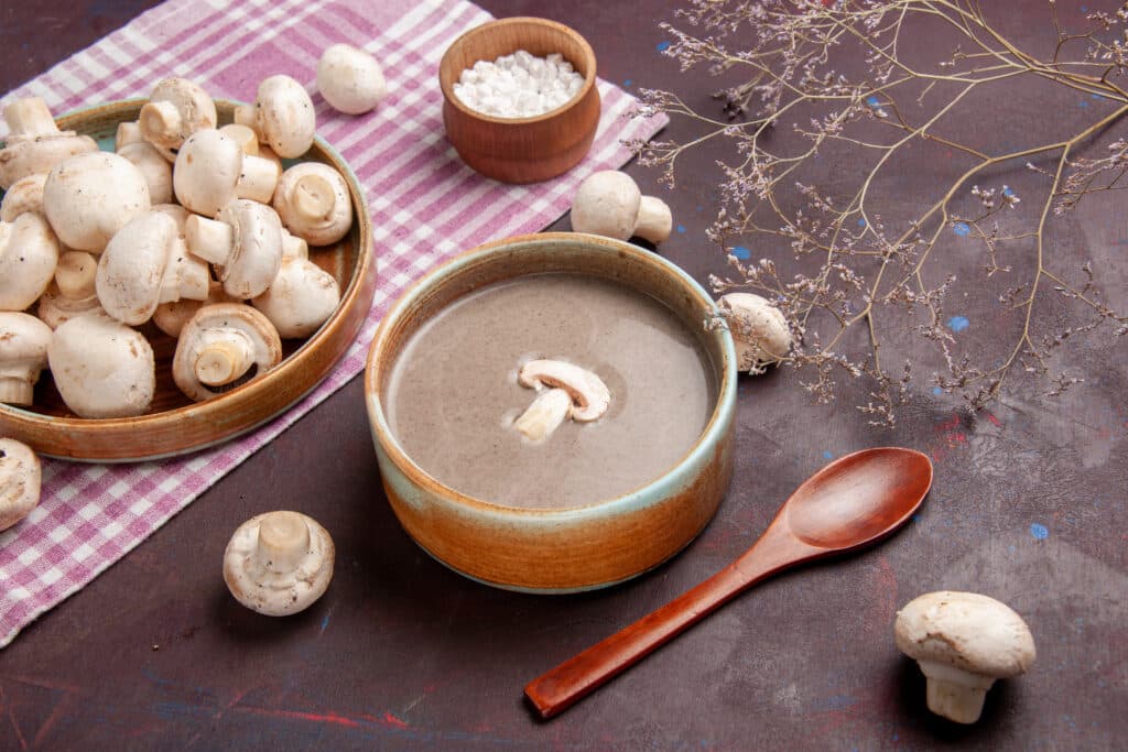 health benefits and risks of feeding cats cream of mushroom soup